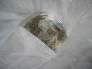 H25年カジカ放流 001